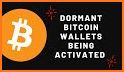 Dormant Bitcoin Seeker Pro related image