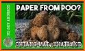Baby Panda Papermaking related image