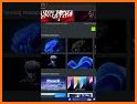 WallMania: Free HD Wallpapers 2020 related image