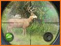 Hunting Clash 2020: Wild hunter shooting Simulator related image