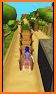 subway Lady Bug Runner Jungle Adventure Dash 3D related image