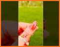 Nooli Dots related image