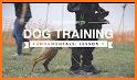 GoodPaws – Force Free Dog Training & Wellness! related image