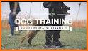 Dog Training : 101 related image