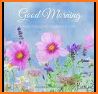 Good Morning Flowers GIFS related image