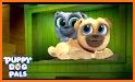 Puppy dog Pals 🐕 related image