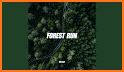 Forest Run related image