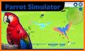 Parrot Simulator related image