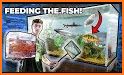HINT Fish Feed And Grow related image