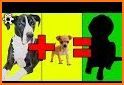 Puzzles and Guess the Breed of Dogs related image