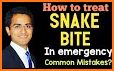Snake Bite related image