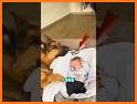adopte pet baby related image