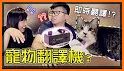 Human Cat translator Cat language translation 猫语翻译 related image