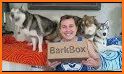 BISC: Alaskan Dog Sledding and Delivery Game related image