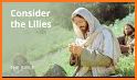 LDS Gospel Treasures related image