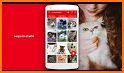 MeowApp - Cat Sounds related image
