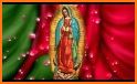 Virgen De Guadalupe Fondo Animado Gif related image