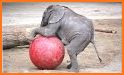 Baby Elephant Stickers for Whatsapp -WAStickerApps related image