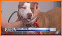 The Pet Stop AK related image