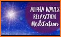 Dolphin Alpha - Brain activation related image