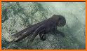 Octopus: Underwater Treasures related image