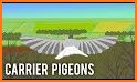 Carrier Pigeon related image
