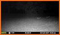 HuntSmart: The Trail Cam App to Bag Bigger Bucks related image