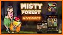 Forest Block Puzzle related image