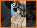 Zebra.Doctor related image