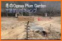 Plum Garden related image