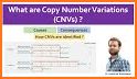 CNVS related image