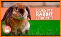 Bunniiies: The Love Rabbit related image