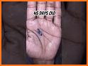 Fish Growing related image