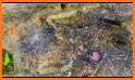 Ants Rush related image