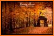Solitaire: Autumn Love related image
