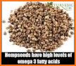 Home Remedies - Cure Disease With Herbs & Ayurveda related image