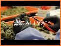 Caliva: Your Goods Delivered related image