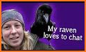 Raven related image