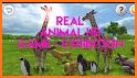 REAL ANIMALS HD (Full) related image