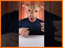 Tricky Pigs related image