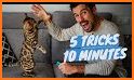 Tech With Cat - Tips, Tricks & Hacks related image