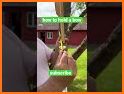 Archery Shooting & Bow Arrow related image