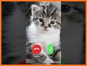 New fake Angela_Cartoon Cat call related image