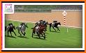 Horse Race 3D related image
