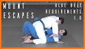 Brazilian Jiu Jitsu Blue Belt Requirements 2.0 related image