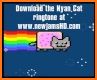 Nyan Cat Song Ringtones related image