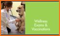 Aurora Veterinary Clinic related image