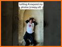My Gallary related image