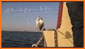 Fishing Voyage - Classic Fish related image