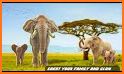 Elephant Family Simulator: Wild Animal Survival related image